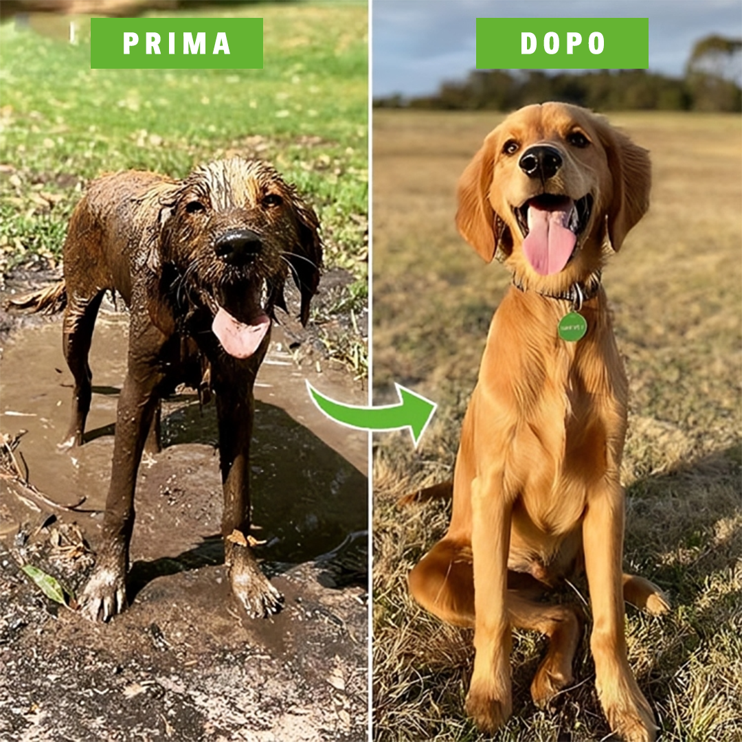 Spruzzatore Ad Alta Pressione Per Animali Domestici